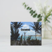 Carte Postale Cozumel (Debout devant)