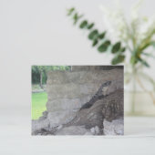 Carte Postale Cozumel Lizard (Debout devant)