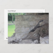 Carte Postale Cozumel Lizard (Devant / Derrière)