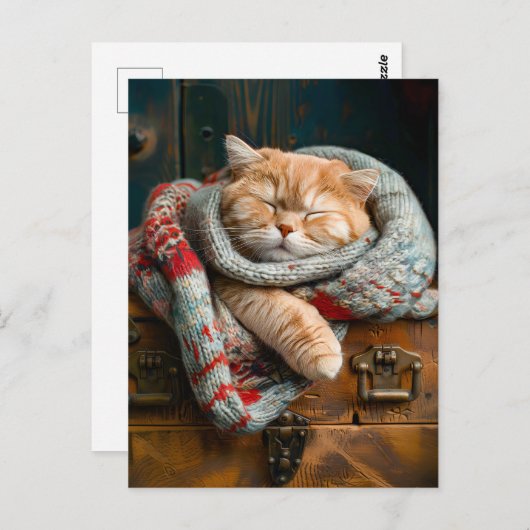 Carte Postale Cozy Cat (Devant / Derrière)