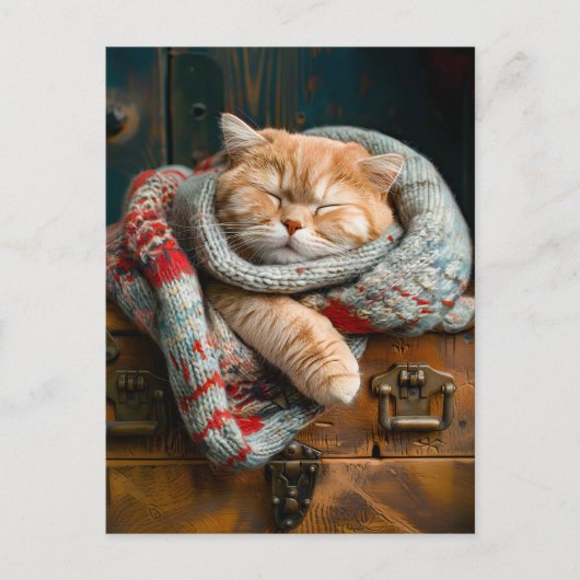 Carte Postale Cozy Cat (Devant)