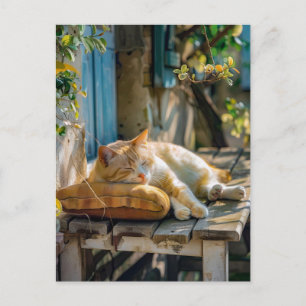 Carte Postale Cozy Cat Sleeping in Garden on Bench