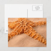 Carte Postale cp ion sable cl up (Devant / Derrière)