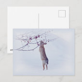 Carte Postale Crabapple Bunny - Lapin (Devant / Derrière)