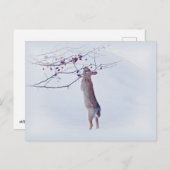 Carte Postale Crabapple Bunny - Rabbit (Devant / Derrière)