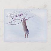 Carte Postale Crabapple Bunny - Rabbit (Devant)