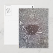 Carte Postale crabe (Devant / Derrière)