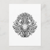 Carte Postale Crabe (Devant)