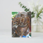 Carte Postale Crabe à fer à cheval ... Restauration asiatique th (Debout devant)