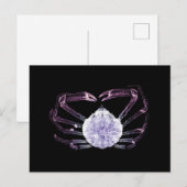 Carte Postale Crabe à rayons X (Devant / Derrière)