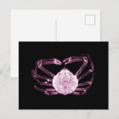Carte Postale Crabe à rayons X (Devant / Derrière)