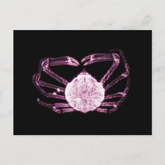 Carte Postale Crabe à rayons X (Devant)