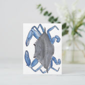Carte Postale Crabe bleu (Debout devant)