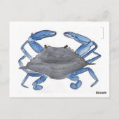 Carte Postale Crabe bleu (Dos)