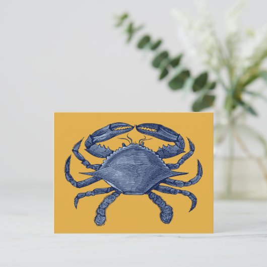 Carte Postale Crabe bleu (Debout devant)