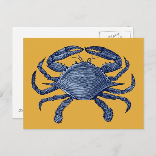 Carte Postale Crabe bleu (Devant / Derrière)