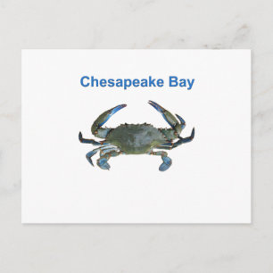 Carte Postale Crabe bleu de la baie Chesapeake