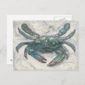 Carte Postale Crabe bleu de la baie Chesapeake (Devant / Derrière)