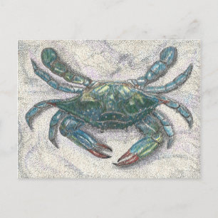 Carte Postale Crabe bleu de la baie Chesapeake