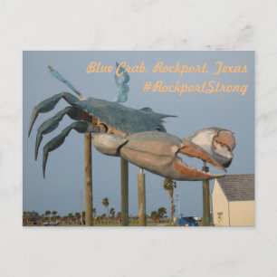 Carte Postale Crabe bleu - Rockport, Texas