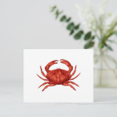 Carte Postale Crabe de Rocher Rouge (Pacifique) (Debout devant)
