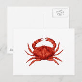 Carte Postale Crabe de Rocher Rouge (Pacifique) (Devant / Derrière)