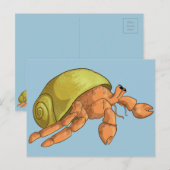 Carte Postale Crabe hermite (Devant / Derrière)