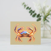 Carte Postale Crabe mignon (Debout devant)