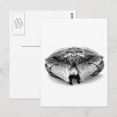 Carte Postale Crabe rocheuse de la Nouvelle-Angleterre I (Devant / Derrière)