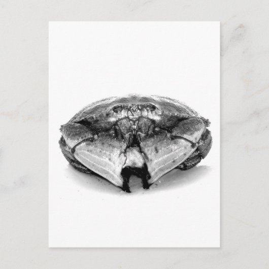 Carte Postale Crabe rocheuse de la Nouvelle-Angleterre I (Devant)