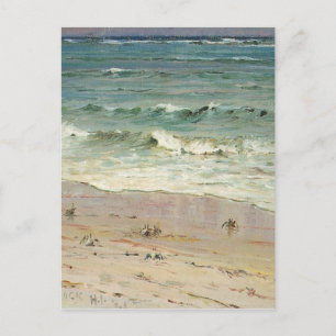 Carte Postale Crabes sur la plage par D. Howard Hitchcock