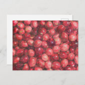 Carte Postale Cranberries Still Life (Devant / Derrière)