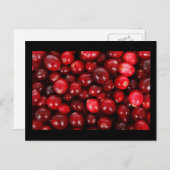 Carte Postale Cranberry (Devant / Derrière)