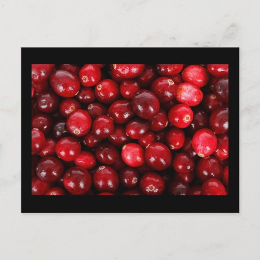 Carte Postale Cranberry (Devant)
