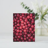 Carte Postale Cranberry (Debout devant)