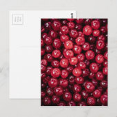 Carte Postale Cranberry (Devant / Derrière)