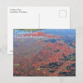 Carte Postale Cranberry Farm, Long Beach, Washington (Devant / Derrière)