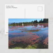 Carte Postale Cranberry Farm, Long Beach, Washington (Devant / Derrière)