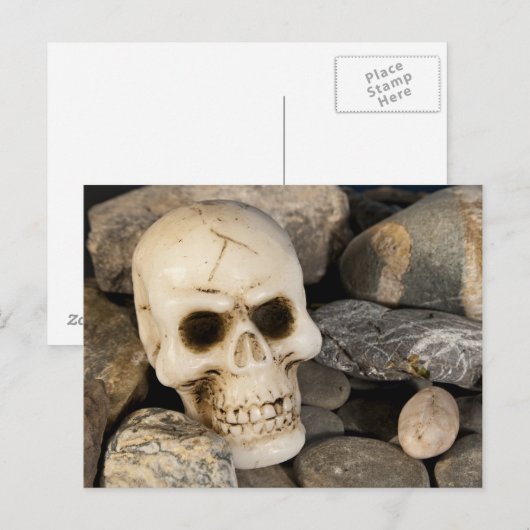 Carte postale crâne (Devant / Derrière)