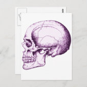Carte Postale Crâne (Devant / Derrière)
