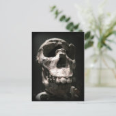 carte postale crâne (Debout devant)