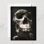 carte postale crâne (Devant / Derrière)