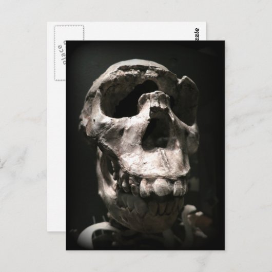 carte postale crâne (Devant / Derrière)
