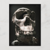carte postale crâne (Devant)