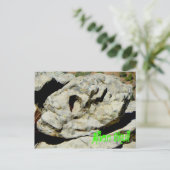 Carte Postale Crâne Alien dans la nation (Debout devant)