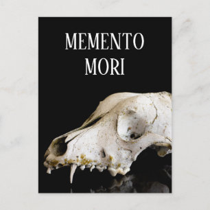 Carte Postale Crâne animal