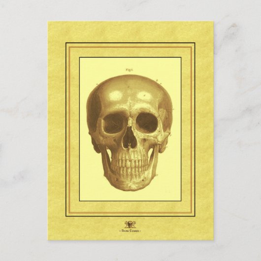 Carte Postale Crâne antique (Devant)