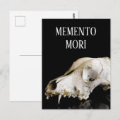 Carte Postale Crâne d'animal (Devant / Derrière)