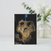 Carte Postale Crâne de dinosaure (Debout devant)