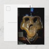 Carte Postale Crâne de dinosaure (Devant / Derrière)